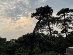 -清西陵