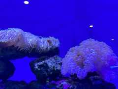 -长春中泰海洋世界