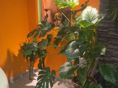 -泰古龙抓龙筋·spa按摩(静安店)