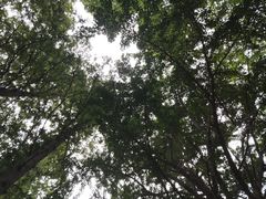 -大泽山风景名胜区