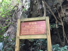 -牛鱼嘴原始生态风景区