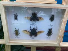 -中国杭州低碳科技馆