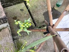 -海窝子古镇
