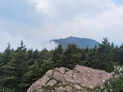 -白草畔自然风景区