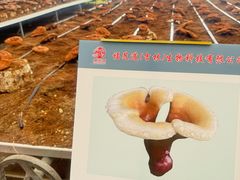 -长春农业博览园