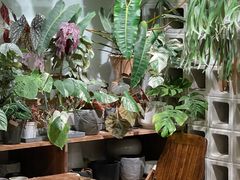 -自由生长植物工作室(深港花卉中心店)