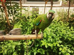 -南宫五洲植物乐园