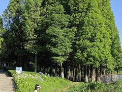 -五甲塘生态湿地公园