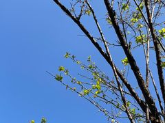 -荔枝公园(福田区)