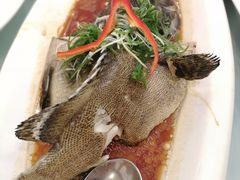 -新梅园不夜粥(龙华店)