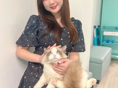 -猫宠乐园·专业洗护