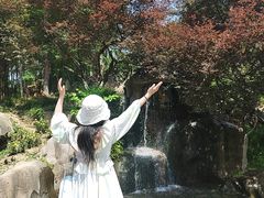 -秀丽东方