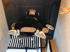 -ZOO COFFEE动物园咖啡(望京锐创店)