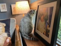 -咖法森林·咖啡  酒吧(天河店)