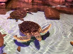 -波塞冬旅游度假区