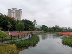 -映月湖公园