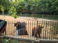 -秦皇岛野生动物园