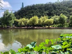 -威海华夏城景区