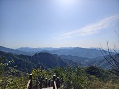 -大岭沟猕猴桃谷风景区