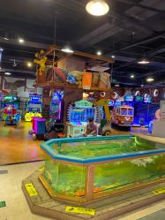 -卡通尼·Safari非洲探索乐园·生日会(金桥国际商业广场店)