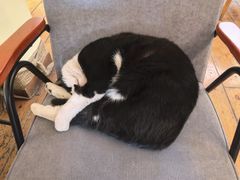 -雕刻时光·咖啡·酒吧·西餐(香山店)