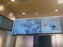 -KOI Thé(虹桥国际机场店)