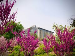 -海棠花溪(元大都城垣遗址公园)