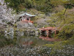 -醍醐寺