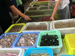 -南沙十九涌渔人码头-南门