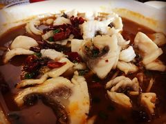 -焯明脆肉鲩世家(金沙洲店)