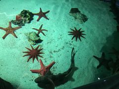 -福州罗源湾海洋世界旅游区