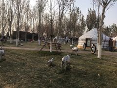 -九十九顶毡房(阜石路店)