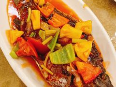 甜酸福寿鱼-龙记烤鸭店(新民路店)