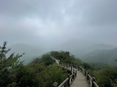 -大岭沟猕猴桃谷风景区