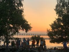 -宝安西湾红树林湿地公园