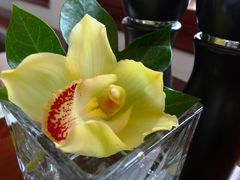 -上海和平饭店-华懋阁 The Cathay Room