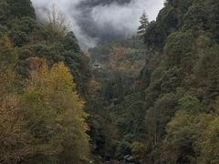 -石台牯牛降景区
