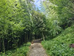 -狼山风景名胜区