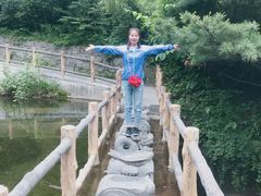-王顺山国家森林公园