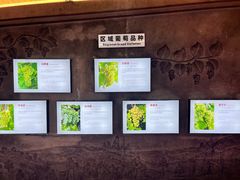 -青岛葡萄酒博物馆