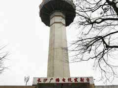 -茶颜悦色(岳麓山顶店)