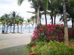-三亚西岛海洋文化旅游区