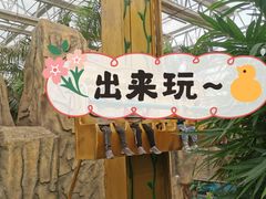 -南宫五洲植物乐园