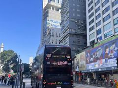 -Big Bus Tours 敞篷观光巴士