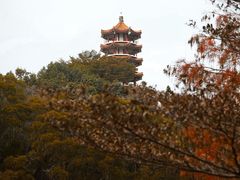 -深圳仙湖植物园