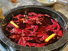-渝大狮毛肚老火锅(遂宁万达店)