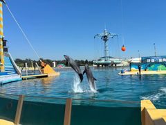 -秦皇岛乐岛海洋王国