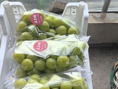 -马陆小张葡萄园农家乐