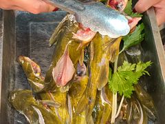 -青山青豆花·笑禅豆腐鱼(黄泥塝店)