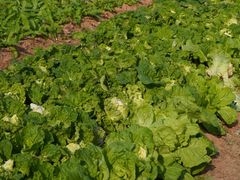 -任达丞国农庄(任达山庄店)